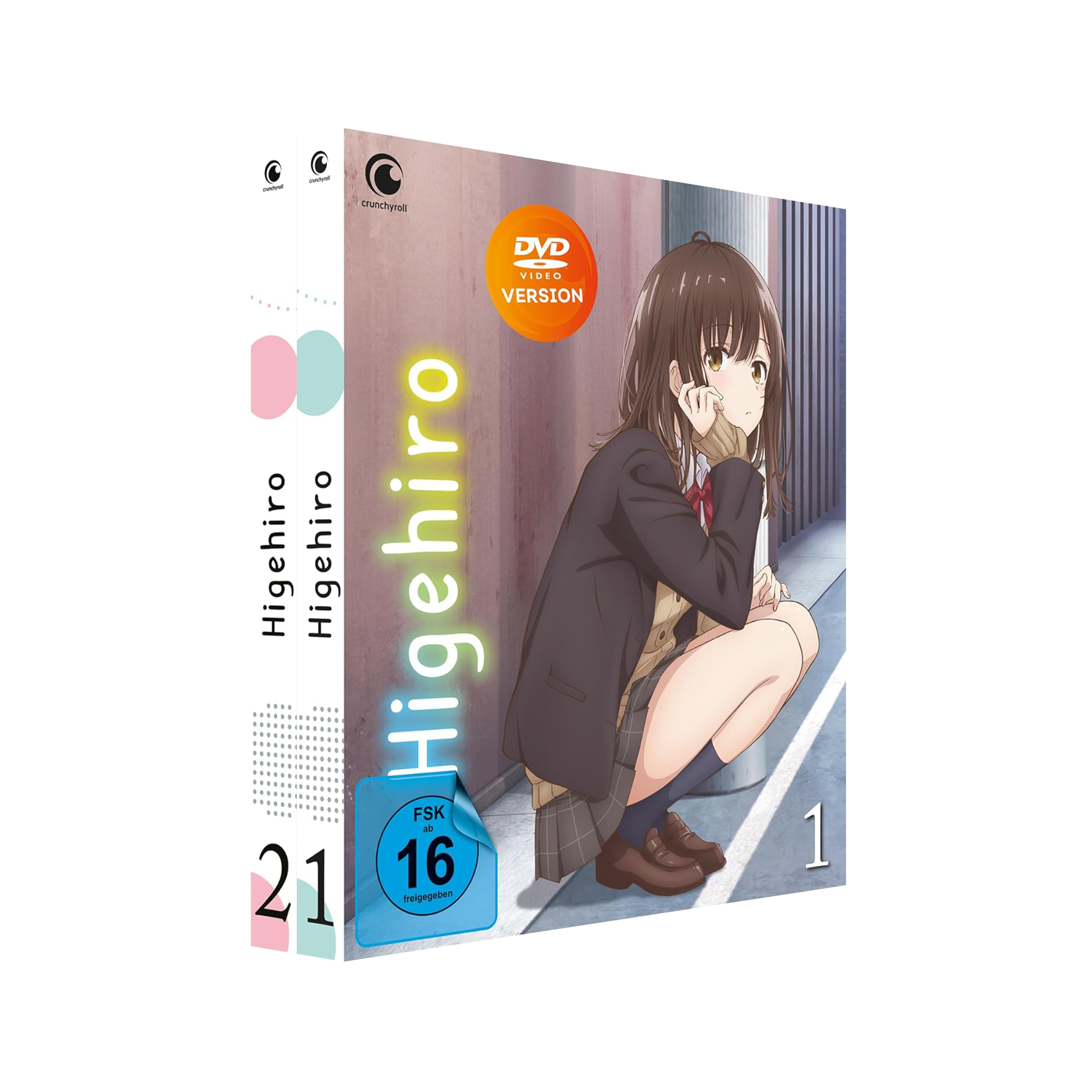 Higehiro: After Being Rejected - Gesamtausgabe (DVD)