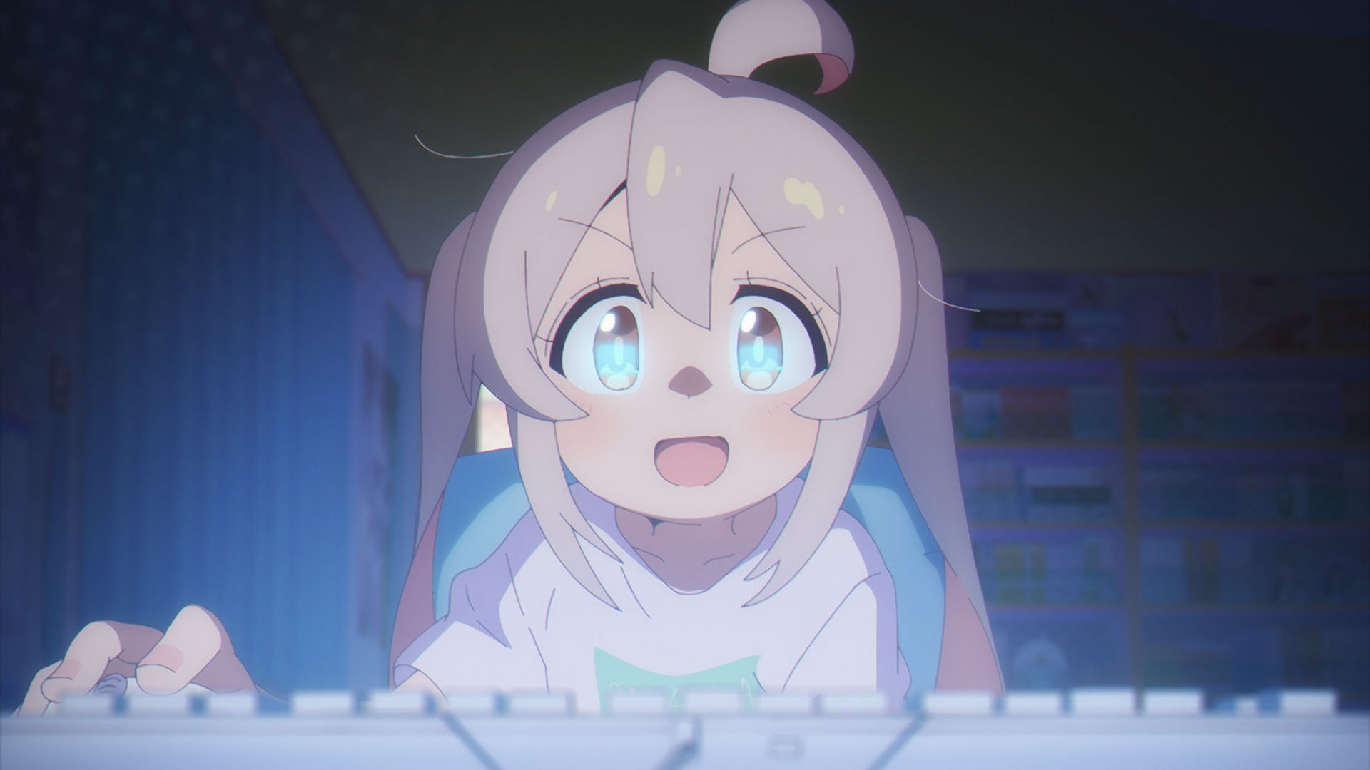 AKIBA PASS SHOP