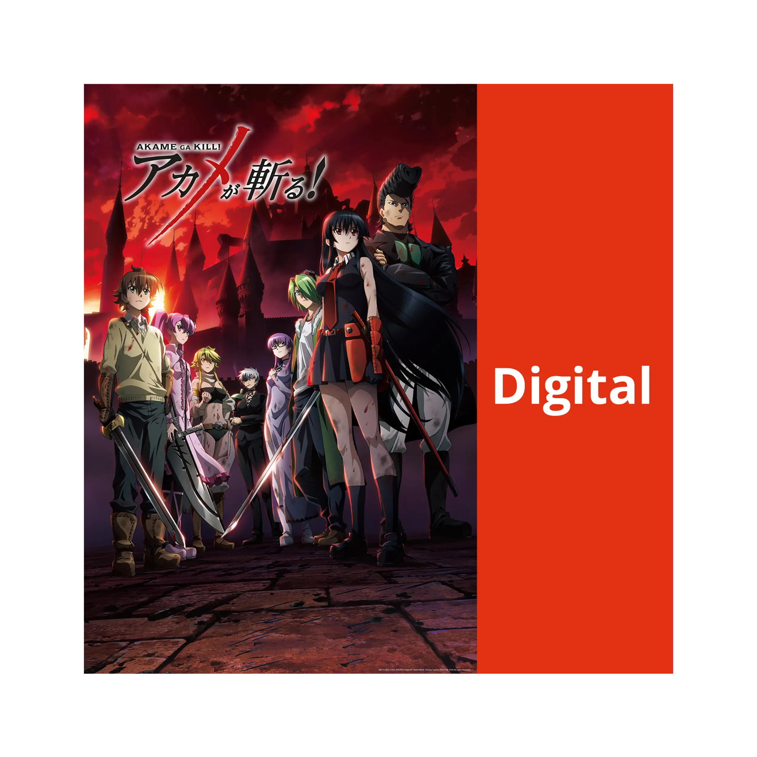 Akame ga Kill Season 1.1 (DIGITAL)
