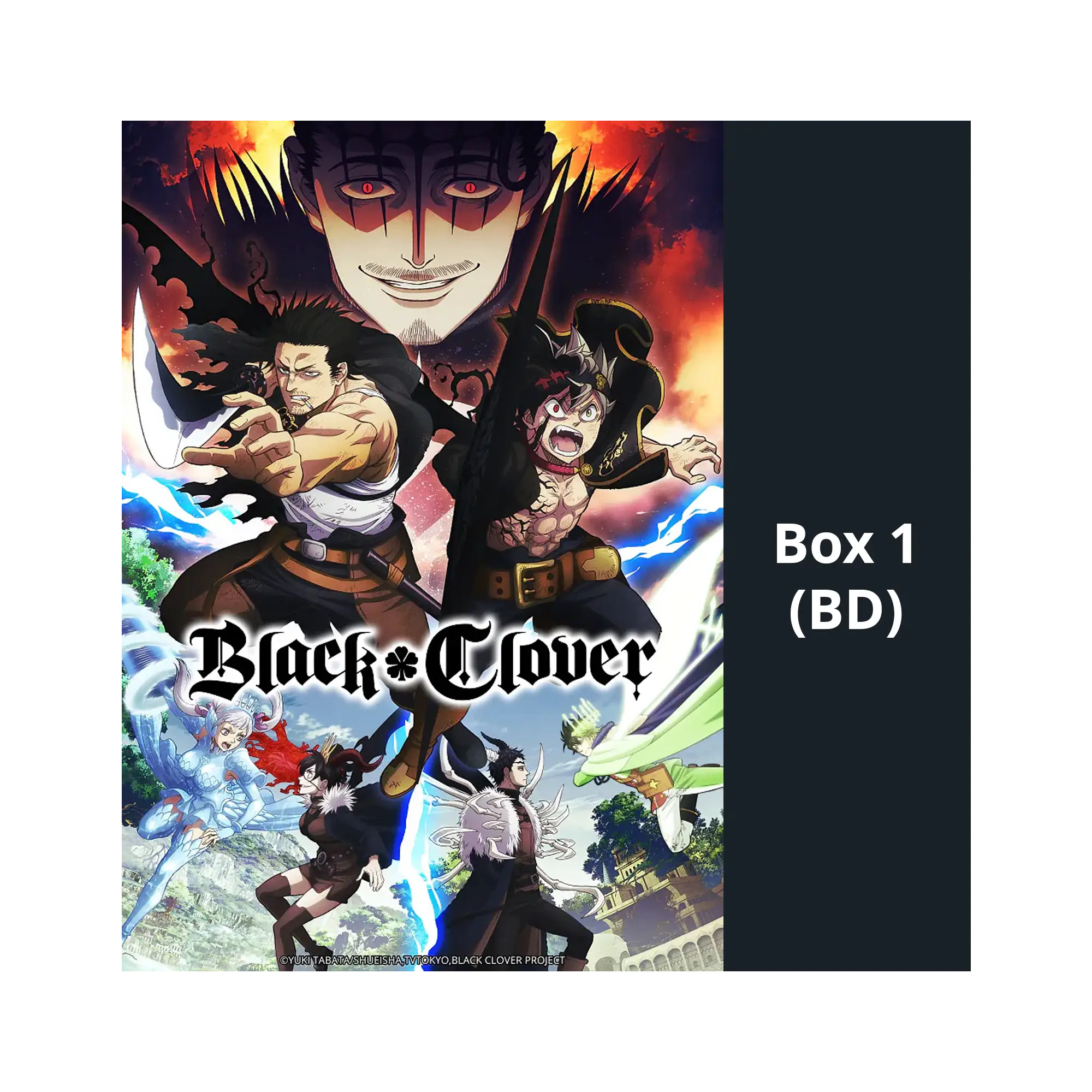 Black Clover Staffel Box (Blu-ray)