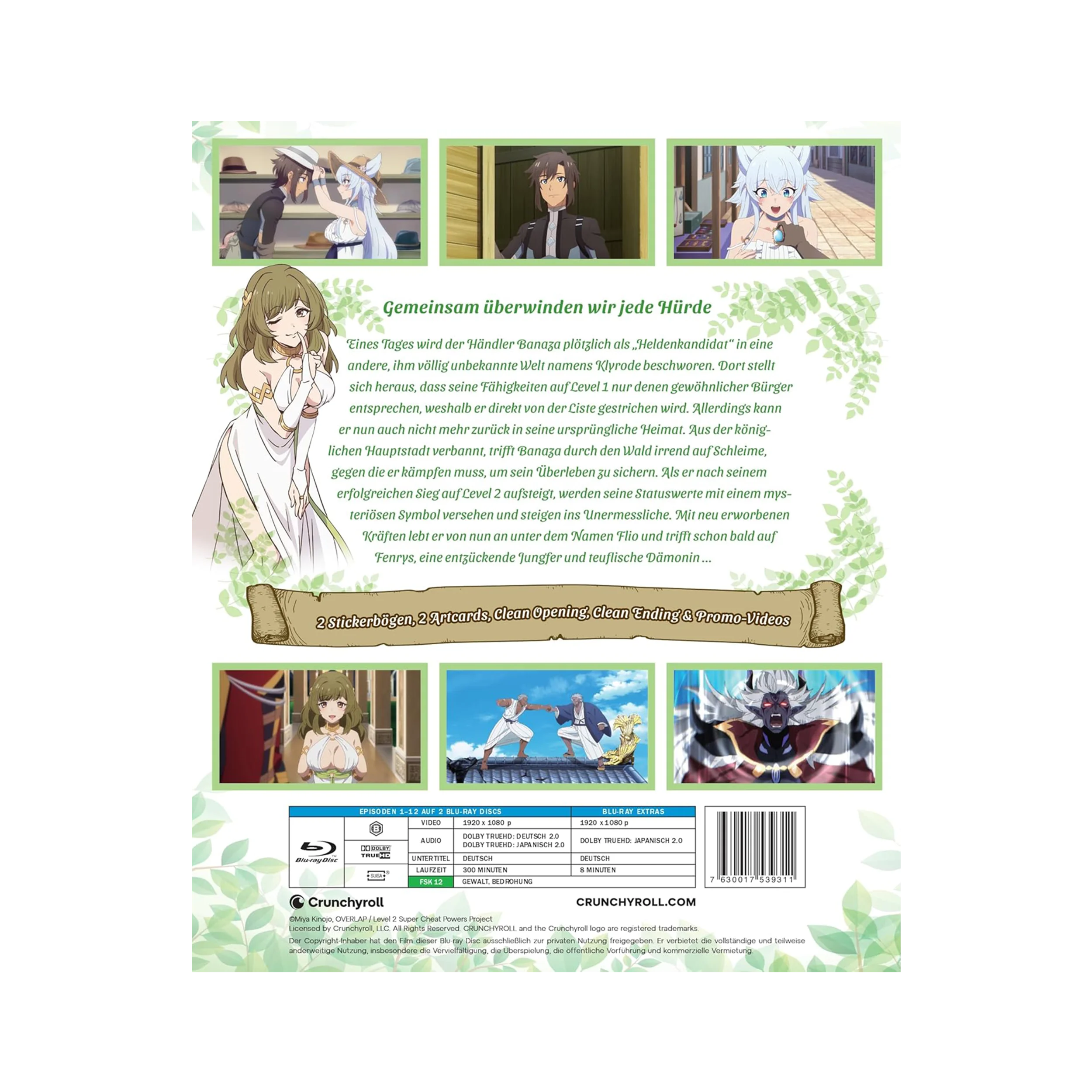 Chillin’ in Another World with Level 2 Super Cheat Powers - Gesamtausgabe (Blu-ray)