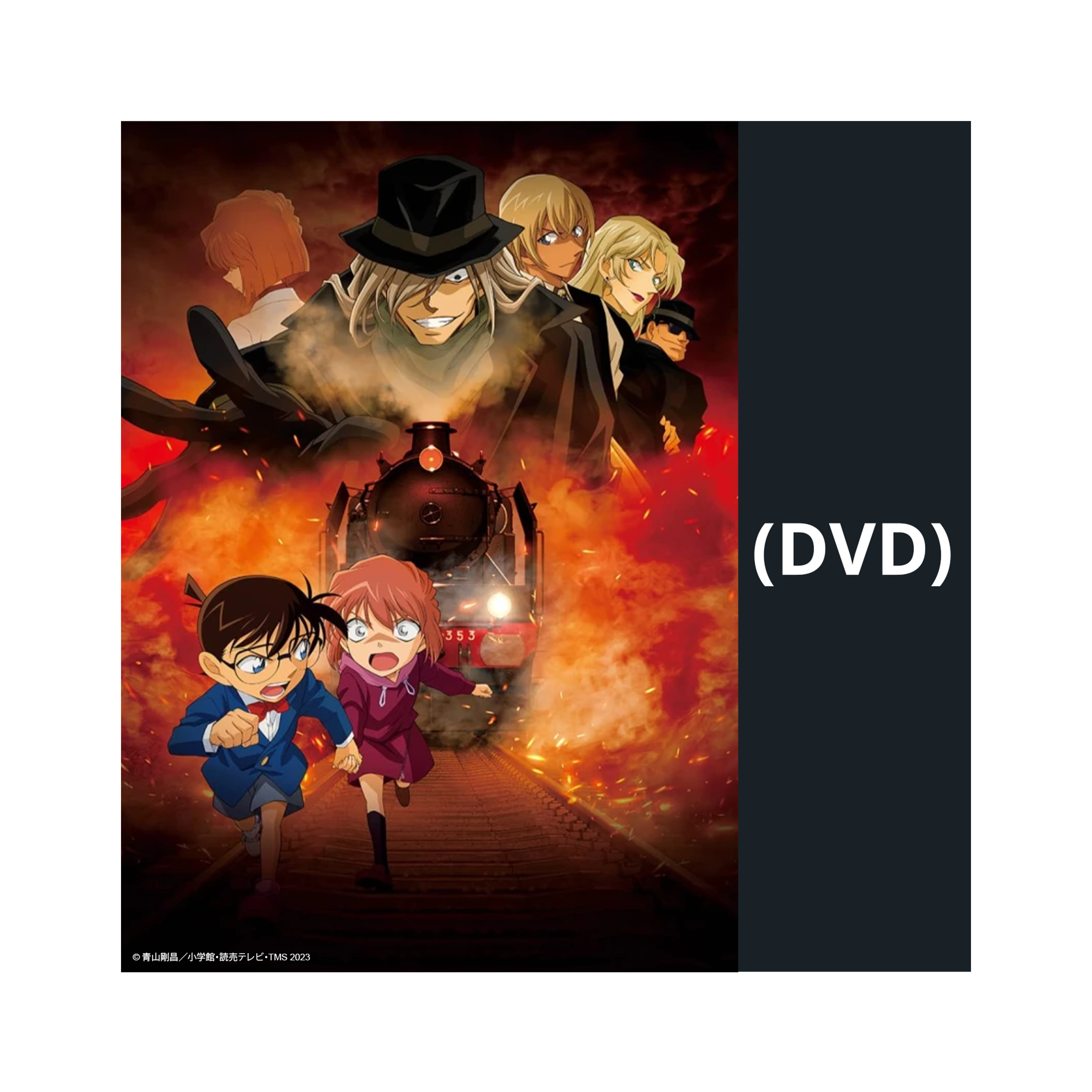Detektiv Conan - Special: The Black Mystery Train - Limited Edition (DVD)