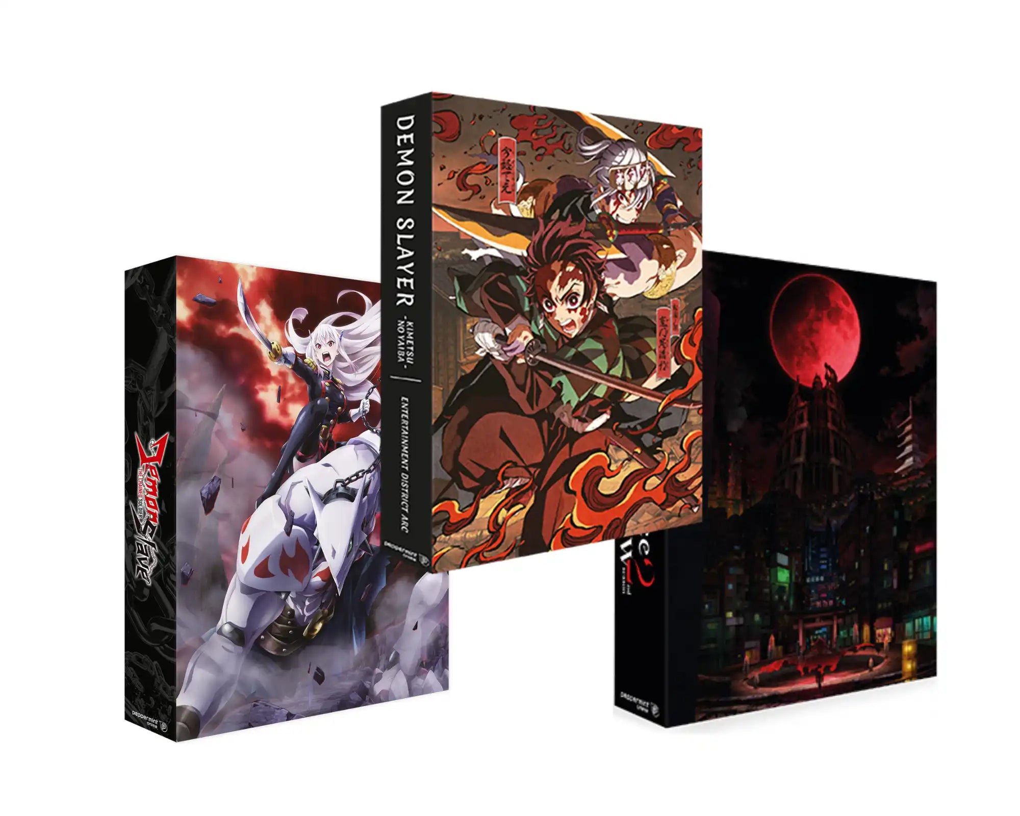 Dämonenjäger DVD-Box-Set mit lebendiger Anime-Kunst, die einen Samurai und Dämon zeigt.