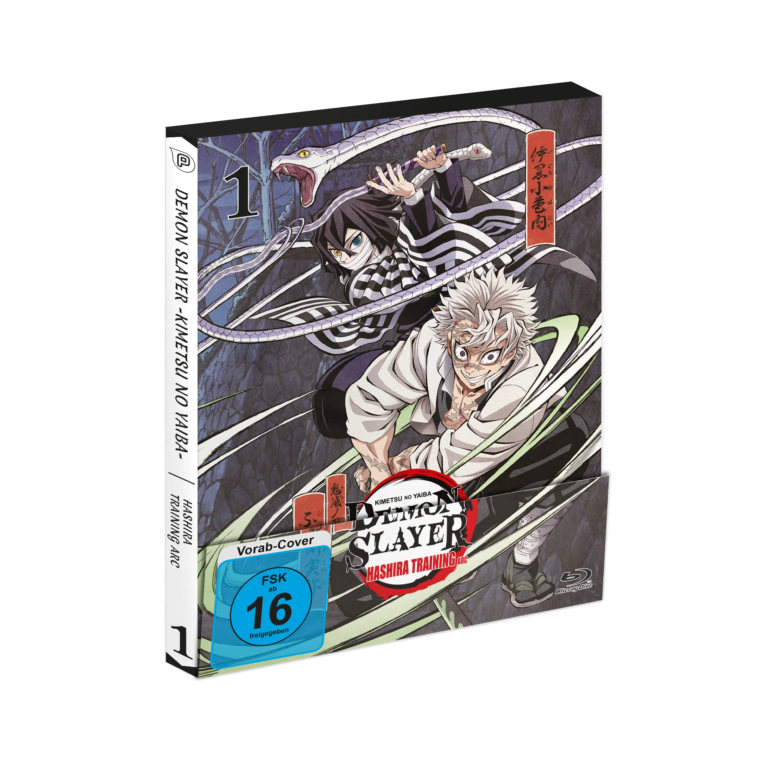 Anime DVD-Cover 2018 Dion Slayer Knight of the Dark mit dunklem Haarkopf und Schwert