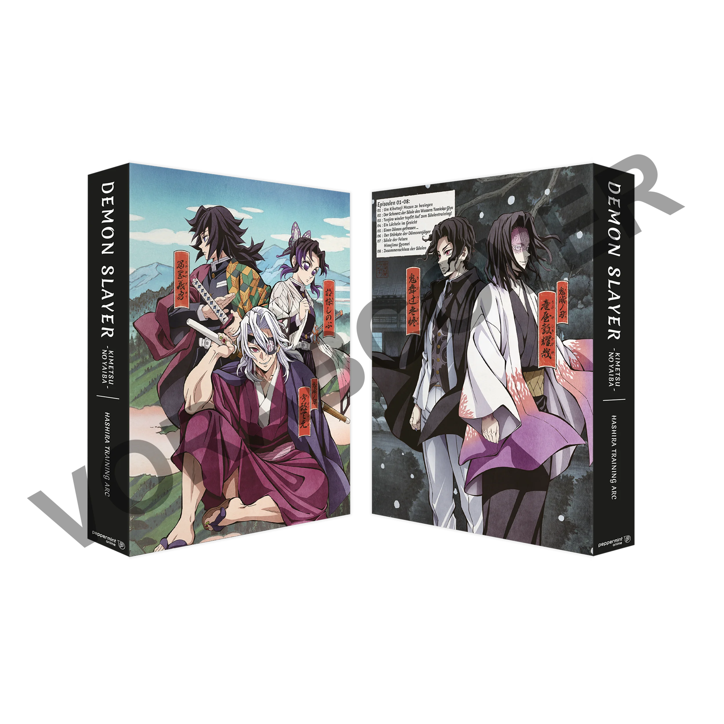 Demon Slayer Kimetsu no Yaiba Hashira Training Arc Blu-ray Box Set displayed