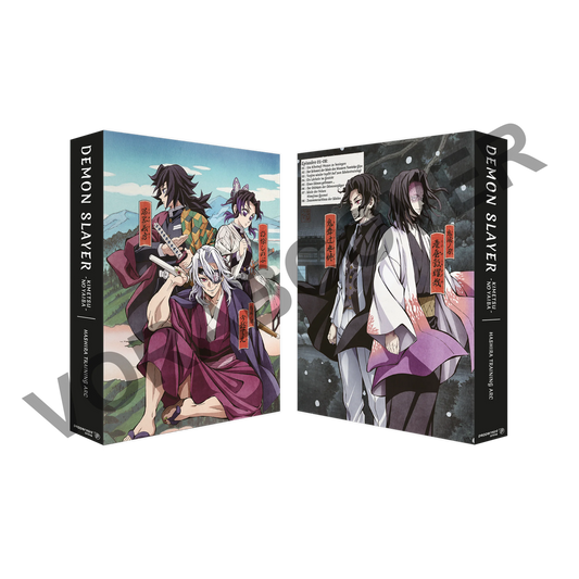 Demon Slayer -Kimetsu no Yaiba- Hashira Training Arc - Vol. 1 (Blu-ray)