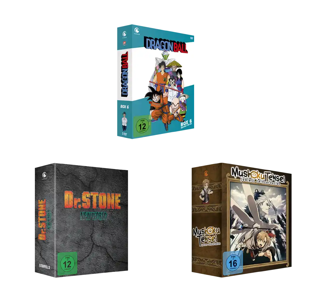 Dragonball-Box-Set mit Anime-Charakteren auf dem Cover, Schwarz-Weiß-Design, DVD-Hüllenmaterial.