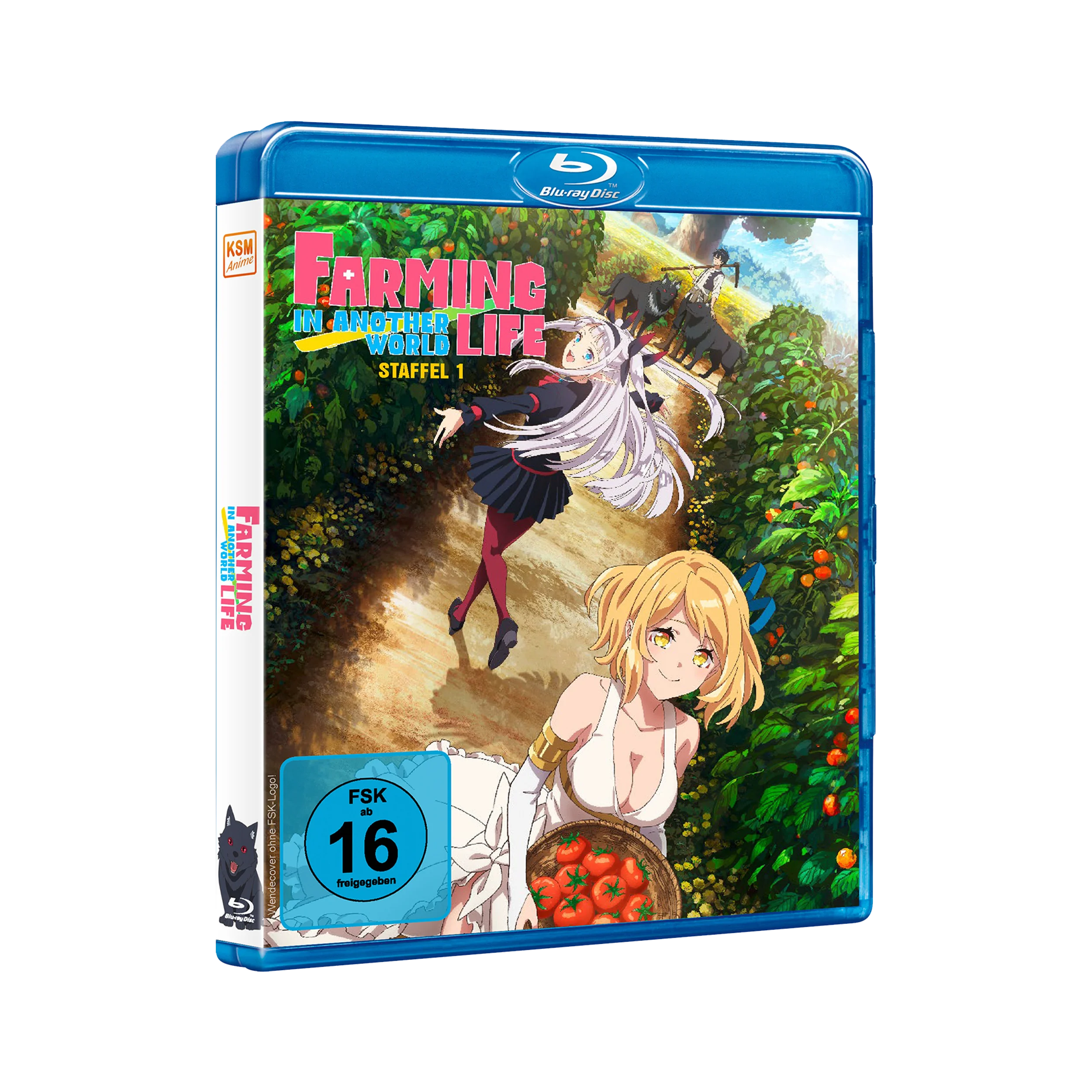 Farming Life in Another World - Die komplette erste Staffel (Blu-ray)
