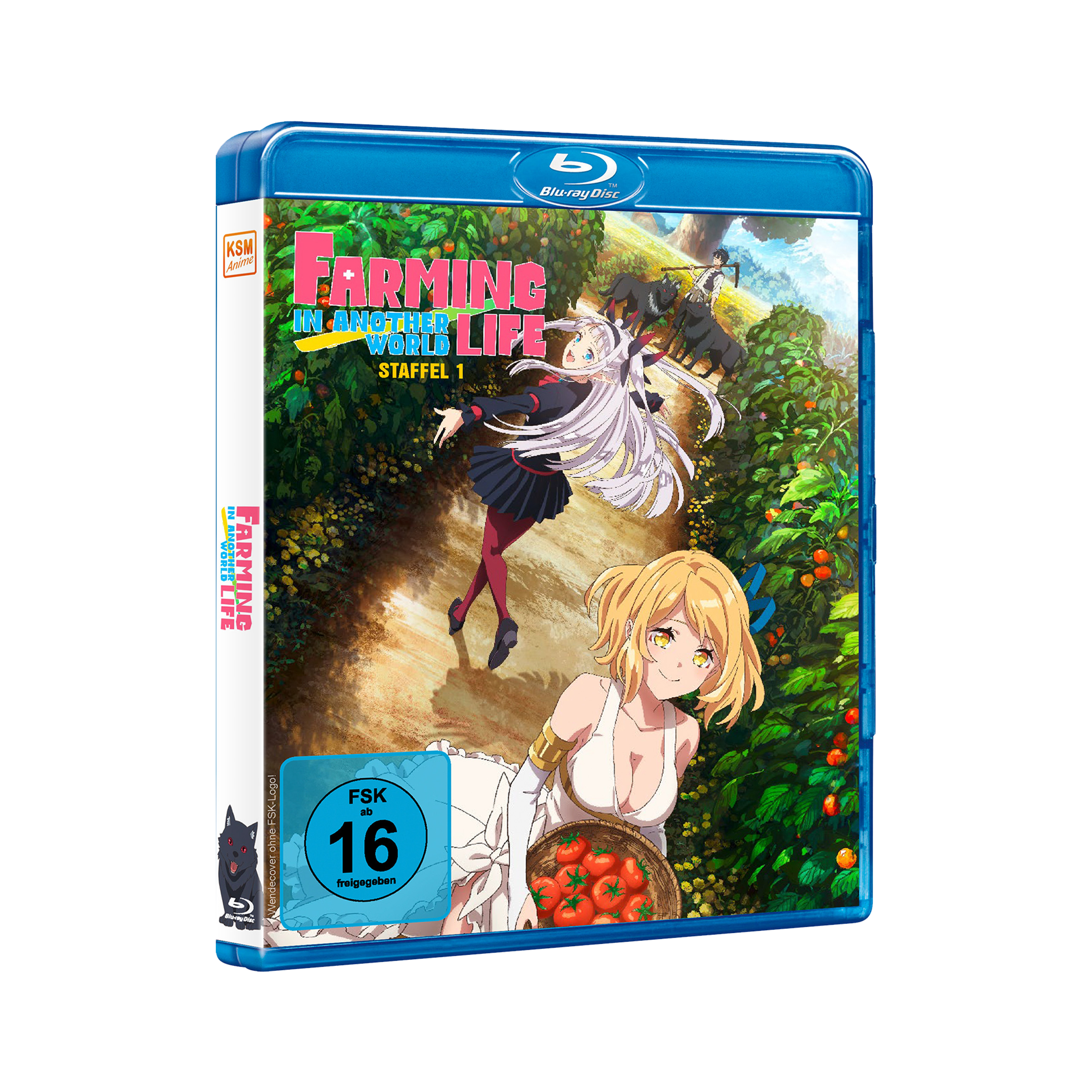 Farming Life in Another World - Die komplette erste Staffel (Blu-ray)