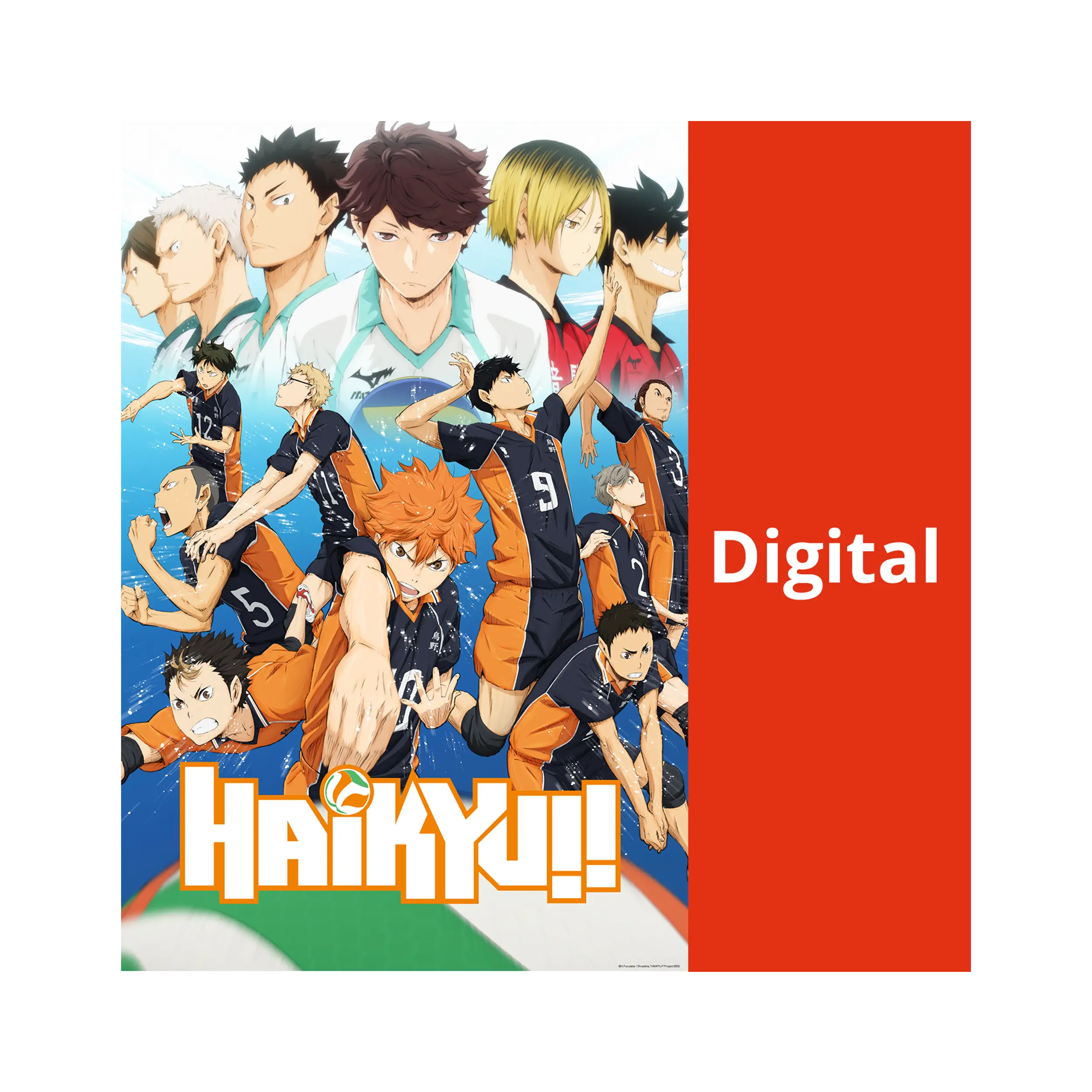 Haikyu!! - Season 1.1 (DIGITAL - Kaufversion)
