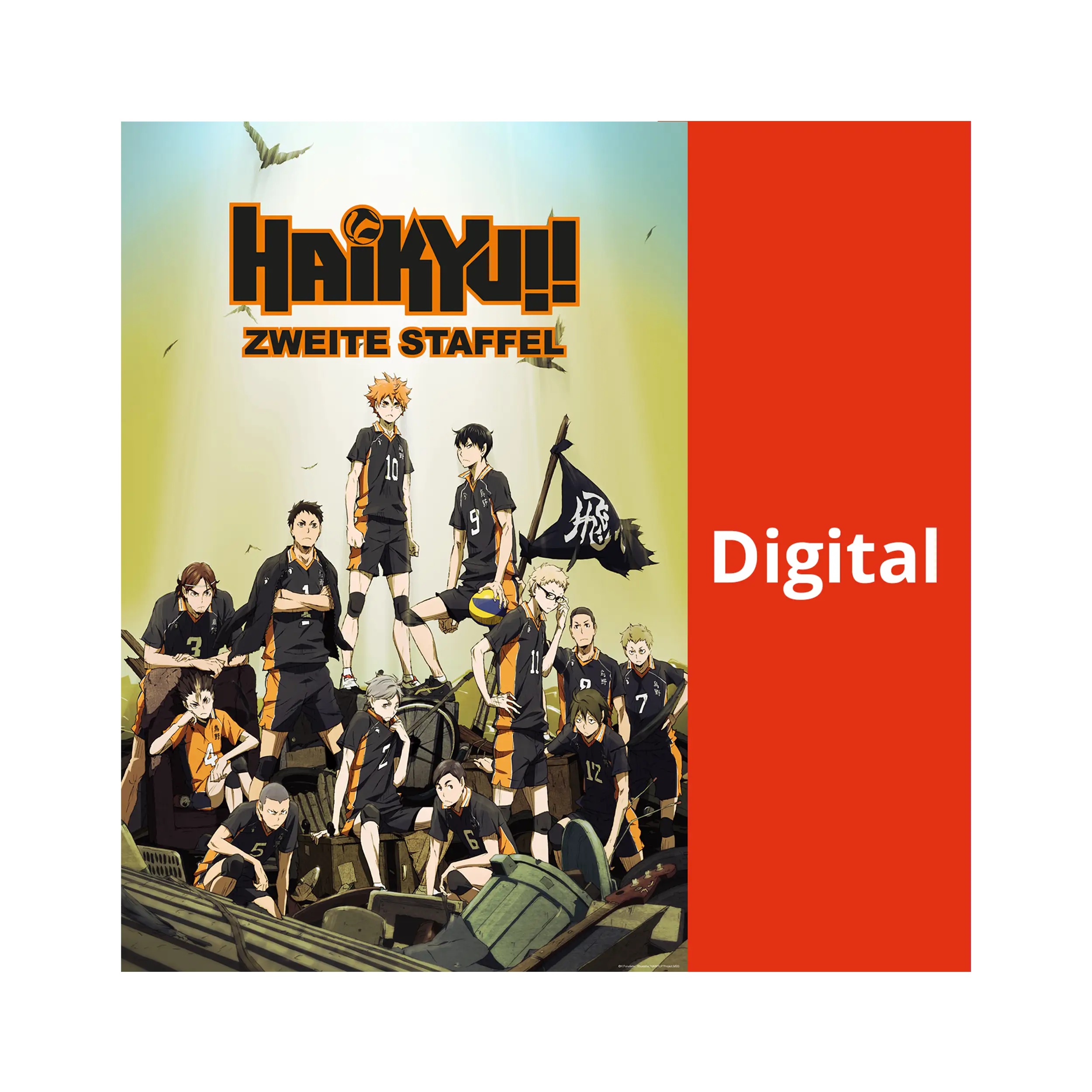 Haikyu!! - Season 2.1 (DIGITAL - Kaufversion)