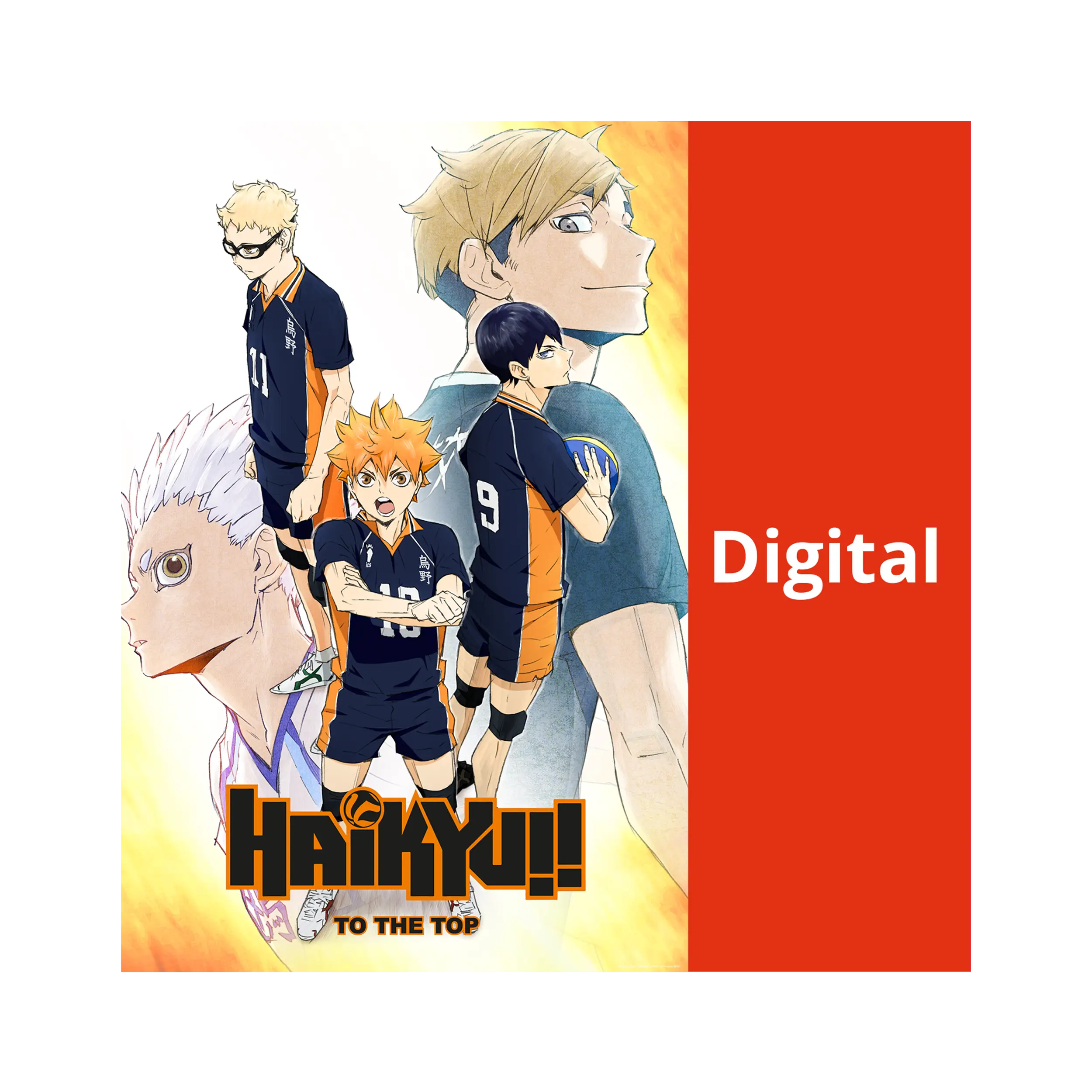 Haikyu!! - To the Top - Season 4.1 (DIGITAL)
