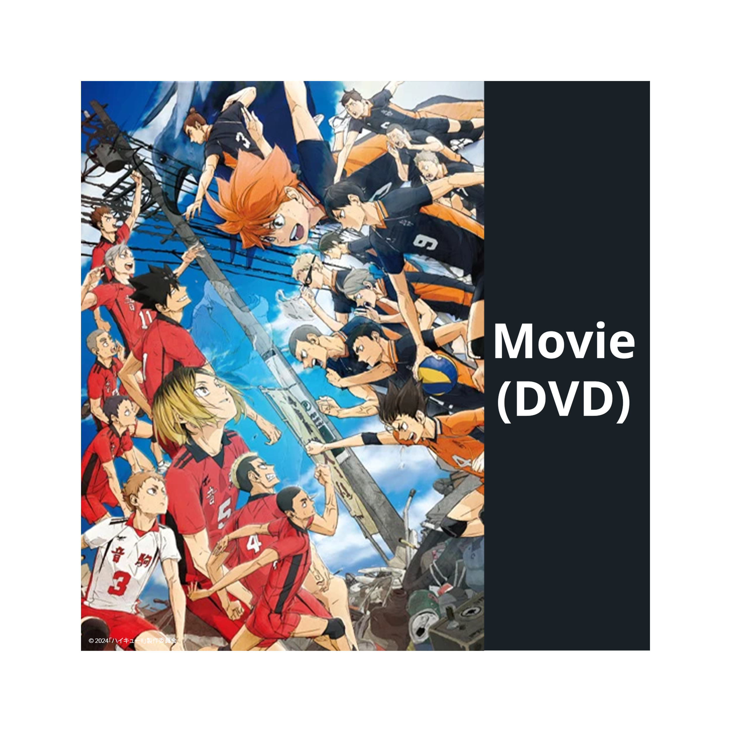 Haikyu!! - Das Play-Off der Müllhalde (DVD)