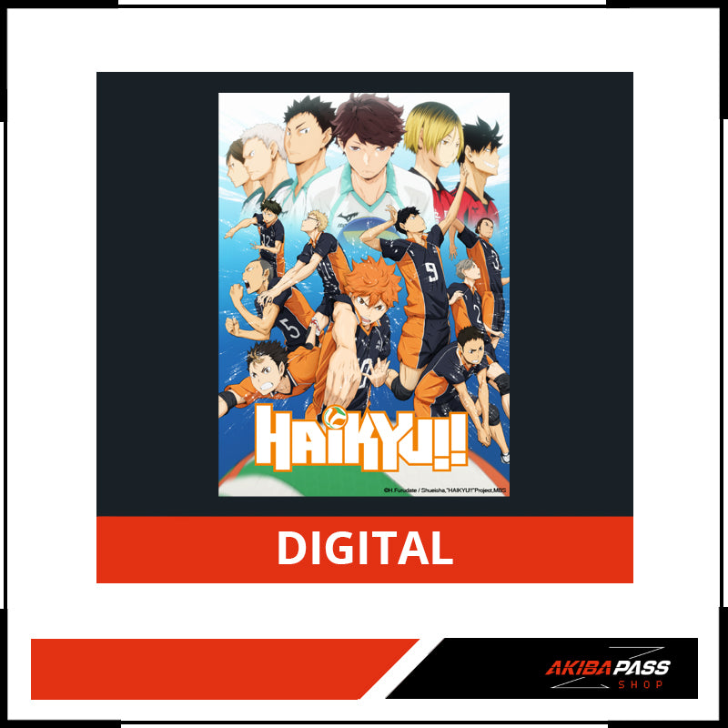 Haikyu!! - Season 1.1 (DIGITAL - Kaufversion)