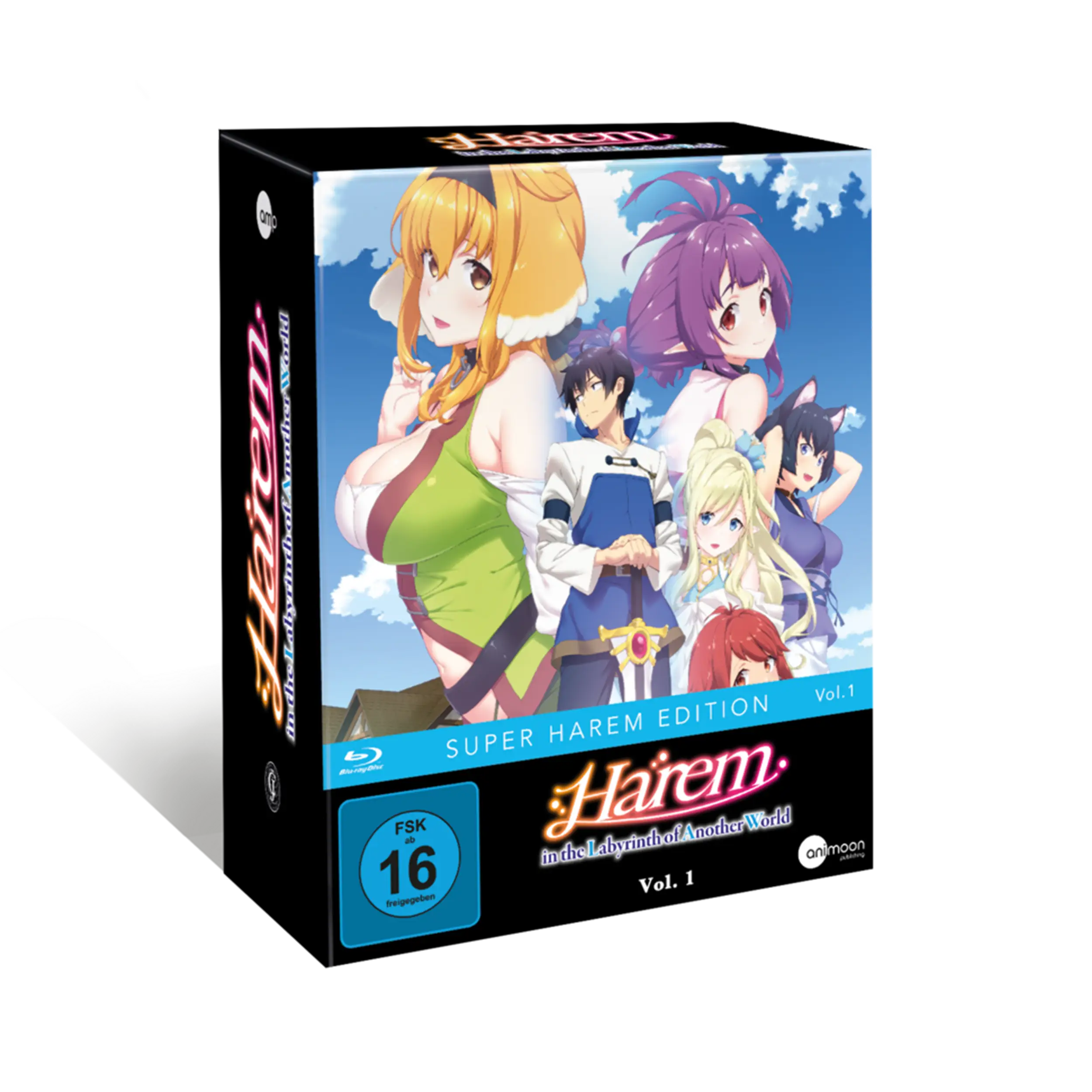 Harem in the Labyrinth of Another World - Vol. 1 mit Sammelschuber (Blu-ray)