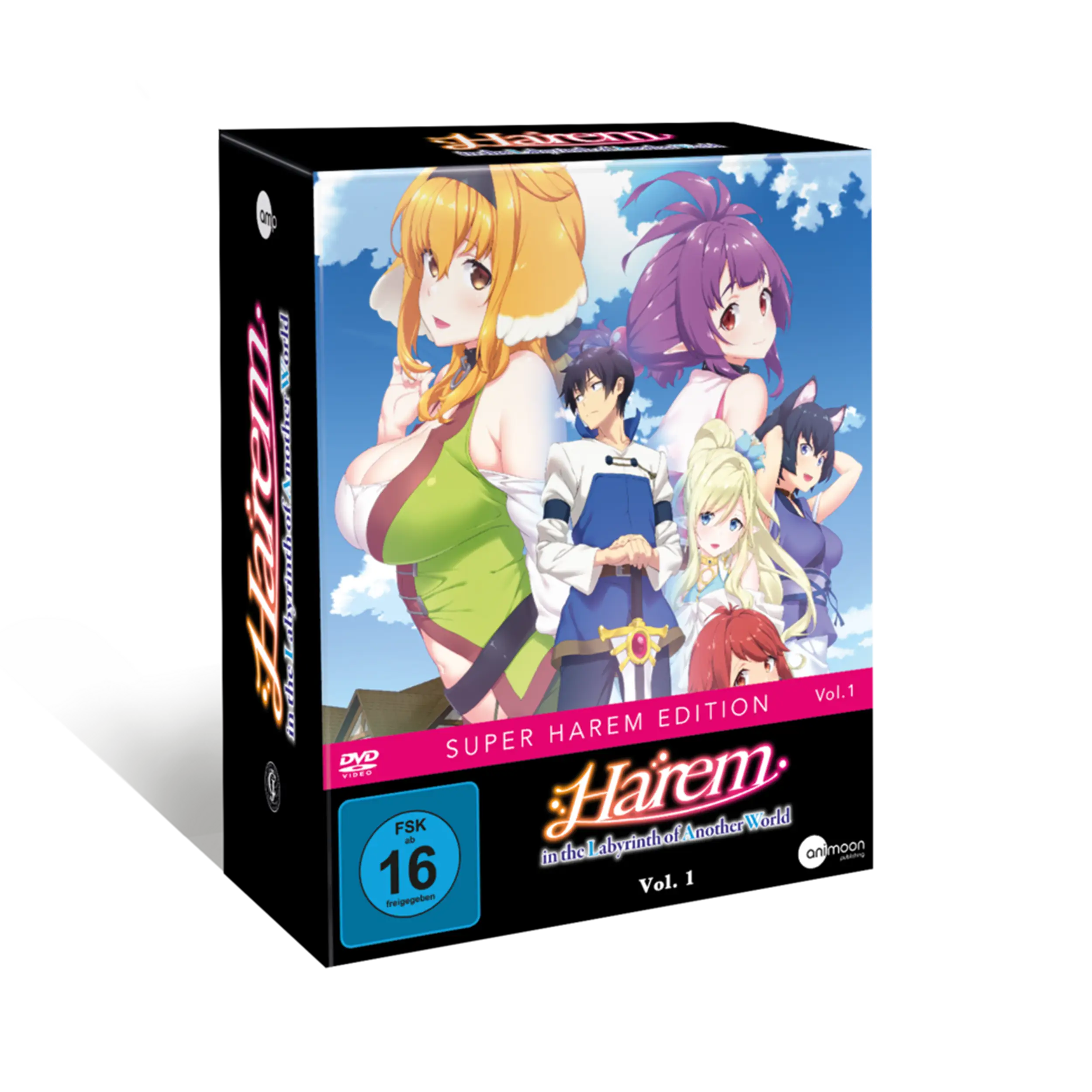 Harem in the Labyrinth of Another World - Vol. 1 mit Sammelschuber (DVD)