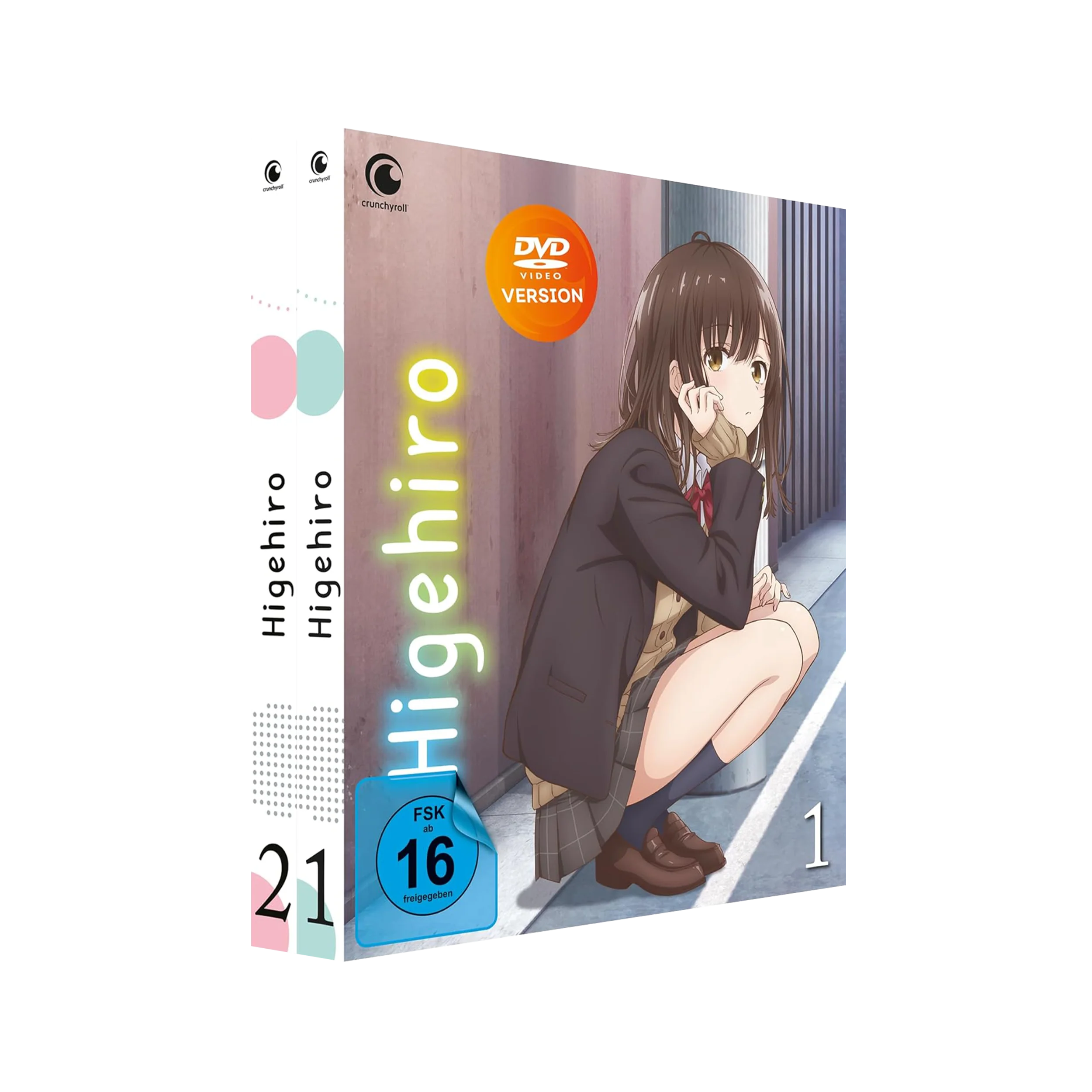 Higehiro: After Being Rejected - Gesamtausgabe (DVD)