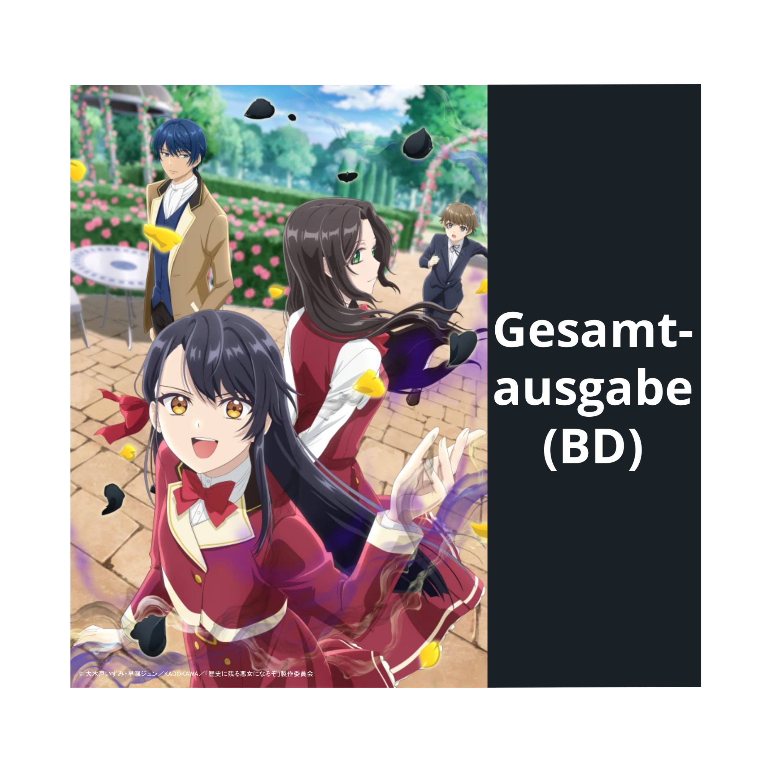 I'll Become a Villainess Who Goes Down in History - Gesamtausgabe (Blu-ray)