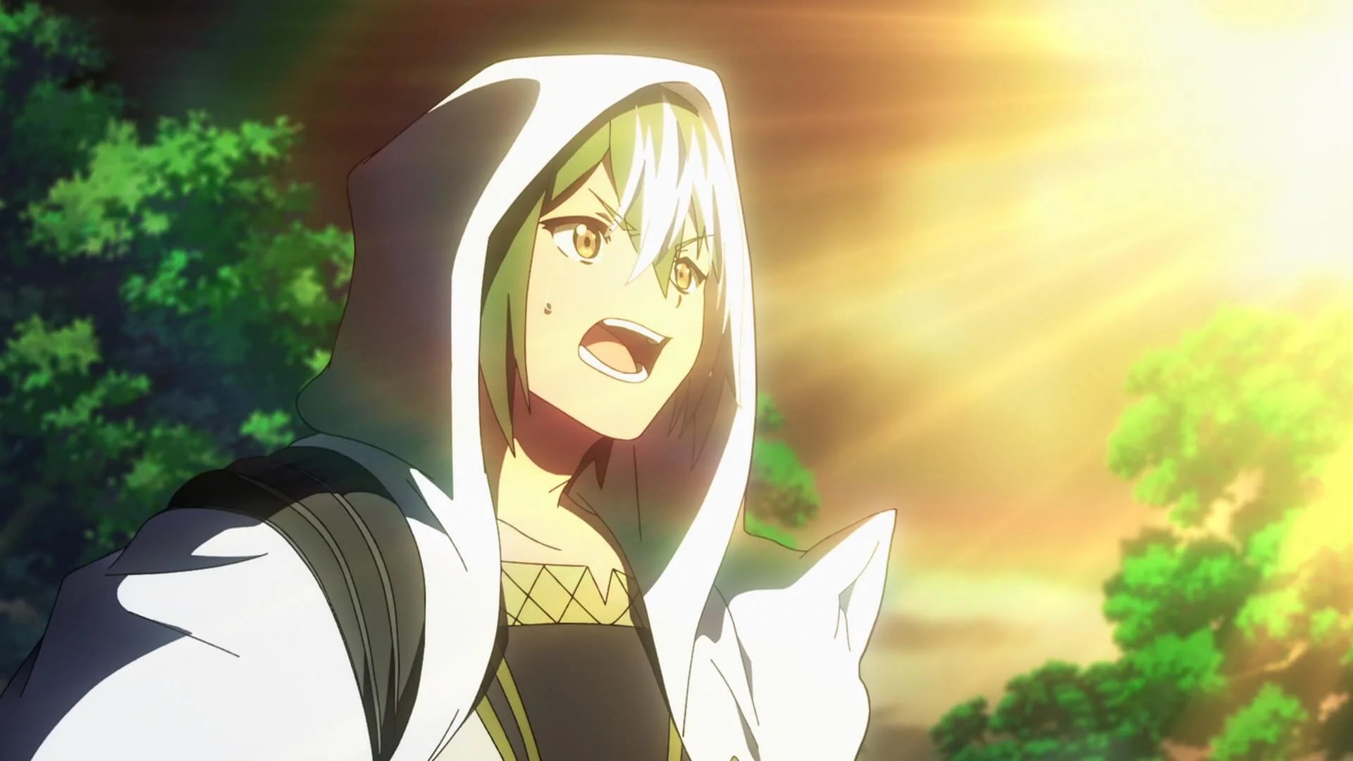 Immoral Guild - Vol. 1 (DVD)