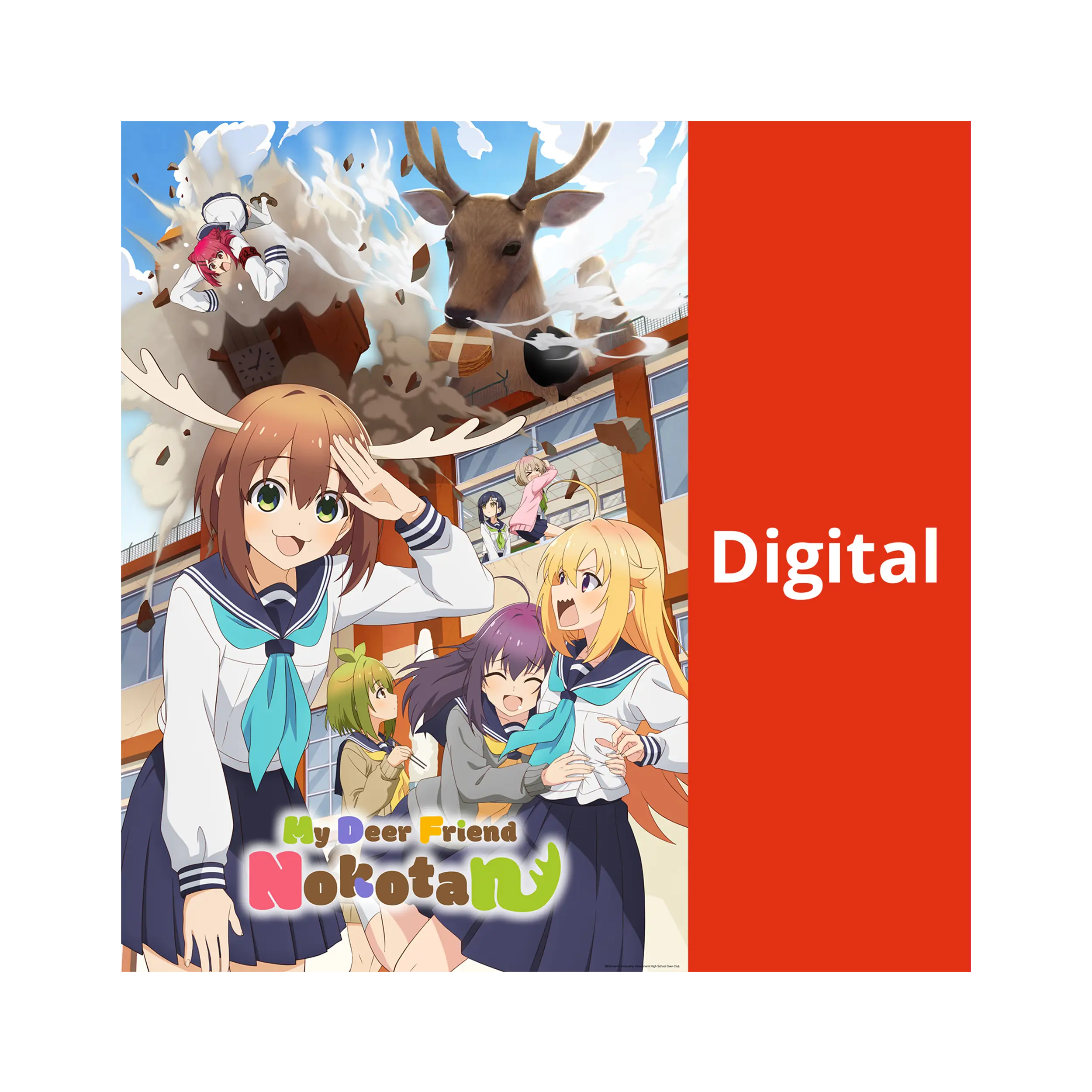 My Deer Friend Nokotan (OmU) - Season 1 (DIGITAL - Kaufversion)