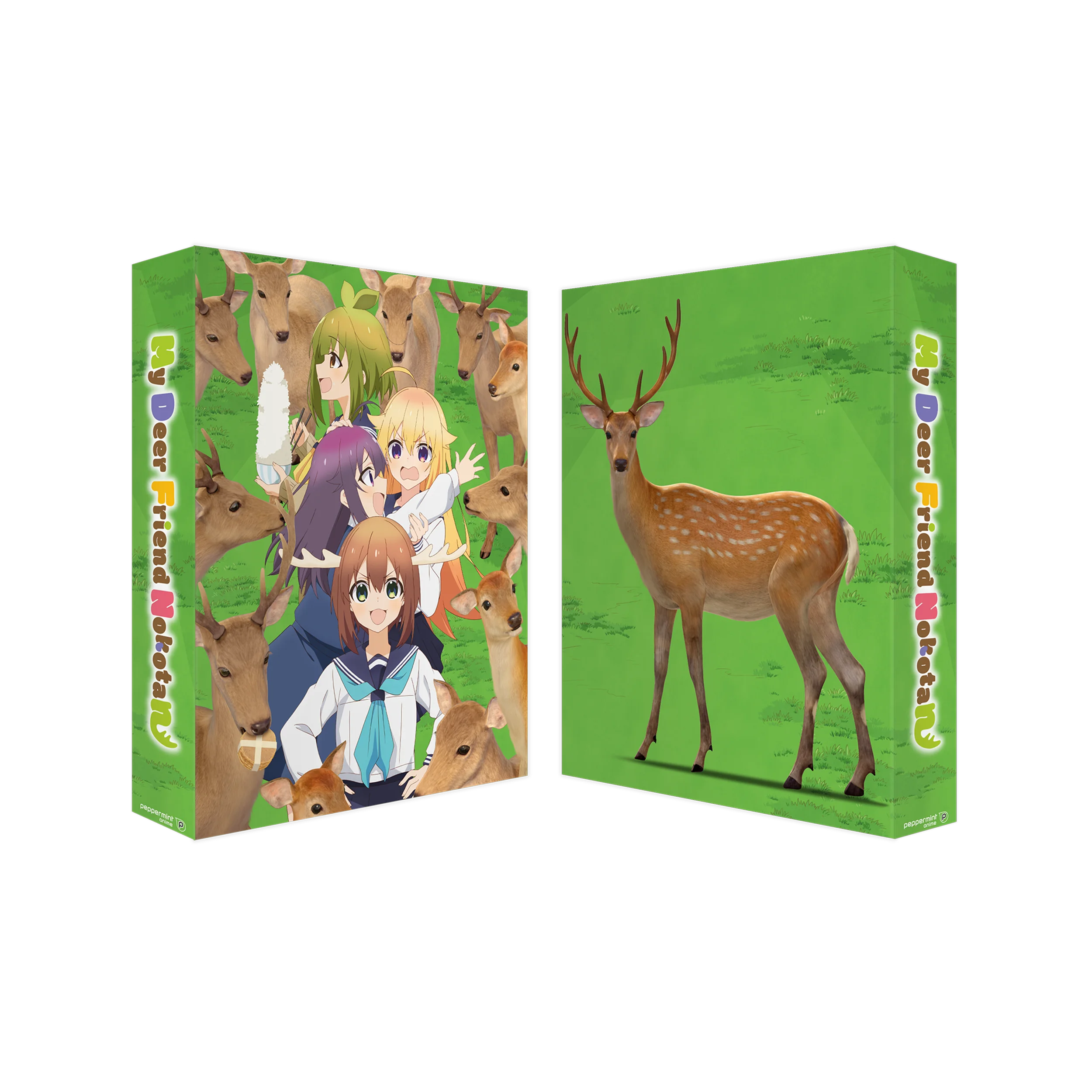 My Deer Friend Nokotan - Sammelschuber (Blu-ray)