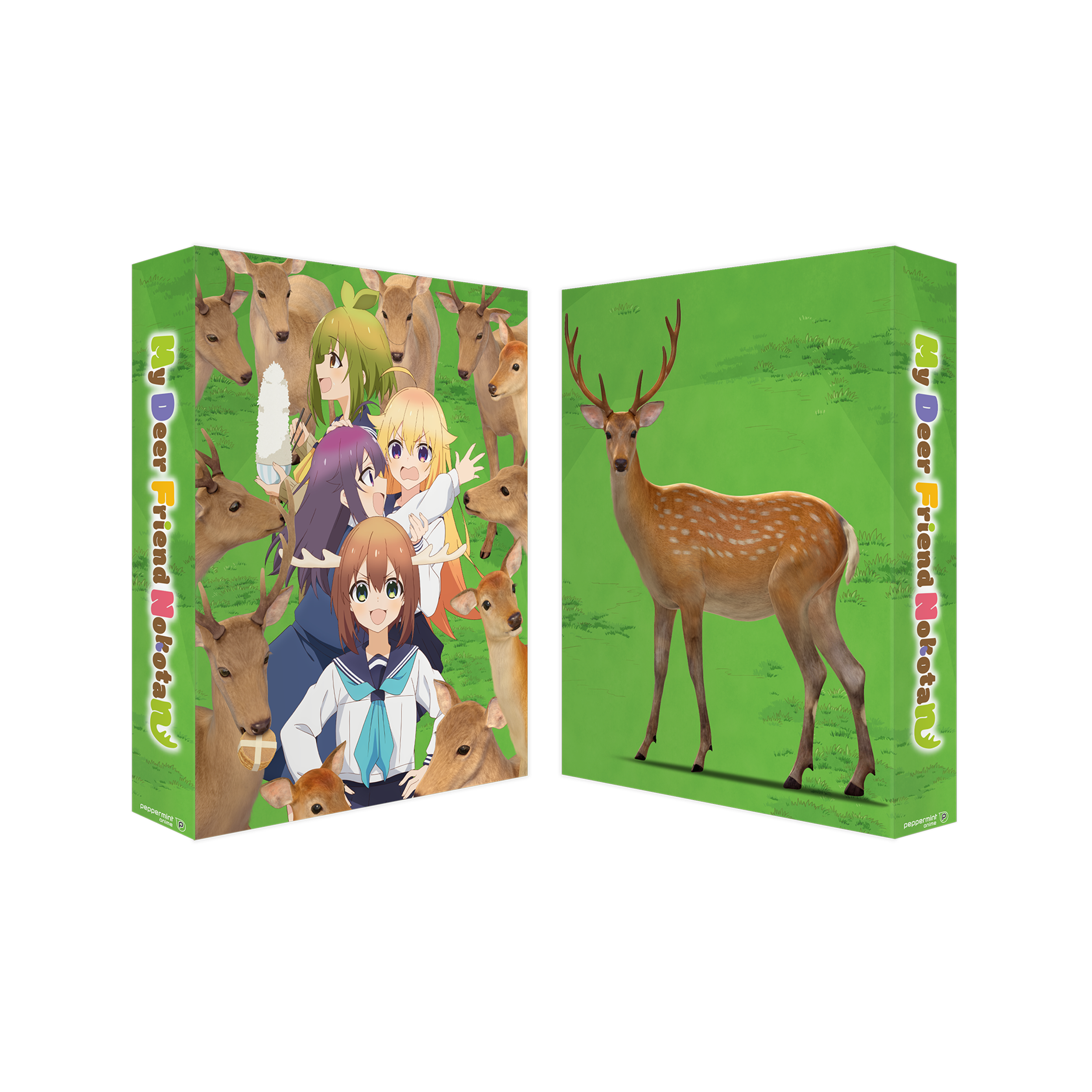 My Deer Friend Nokotan - Sammelschuber (Blu-ray)