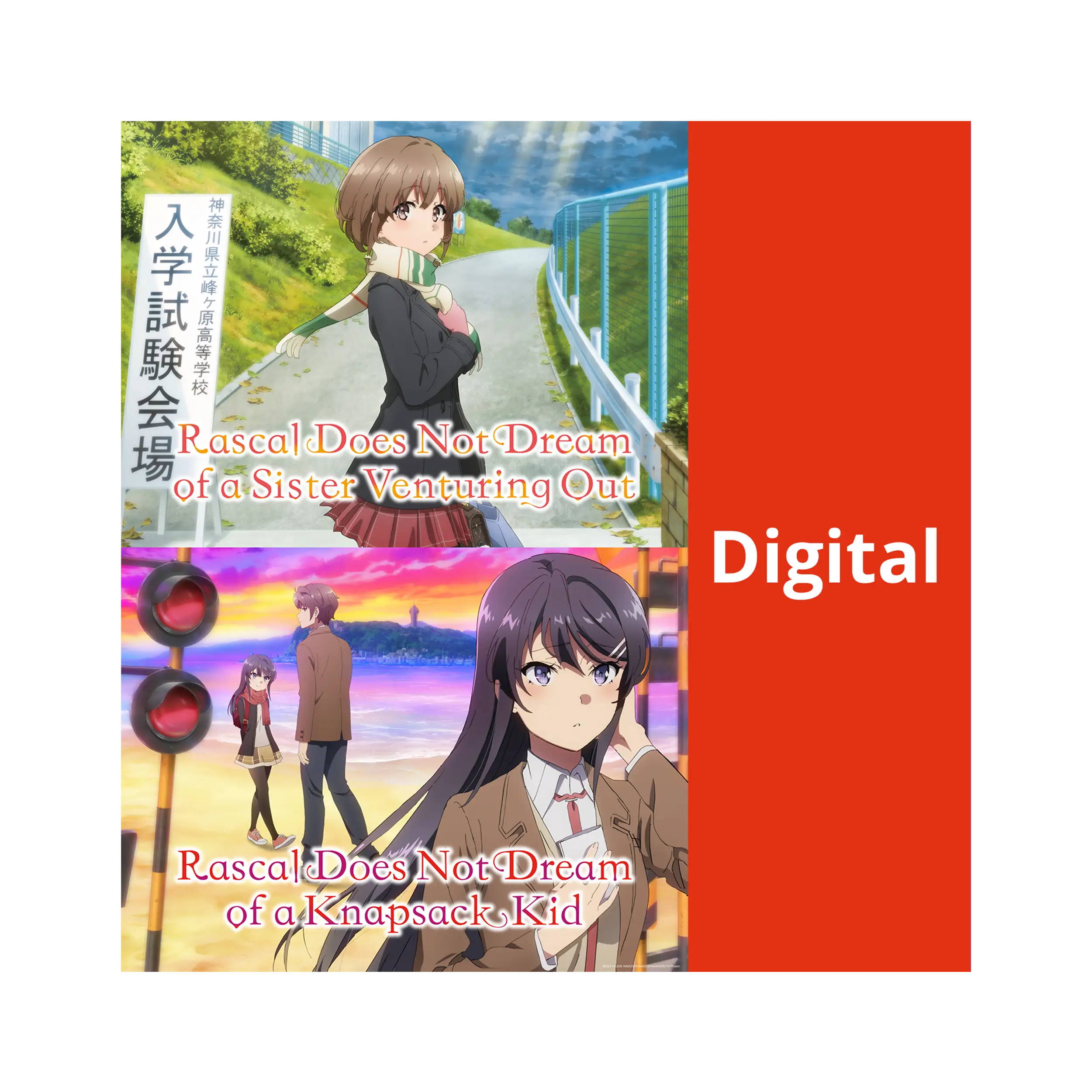 Rascal Does Not Dream (OmU) - Movie-Paket (DIGITAL - Kaufversion)