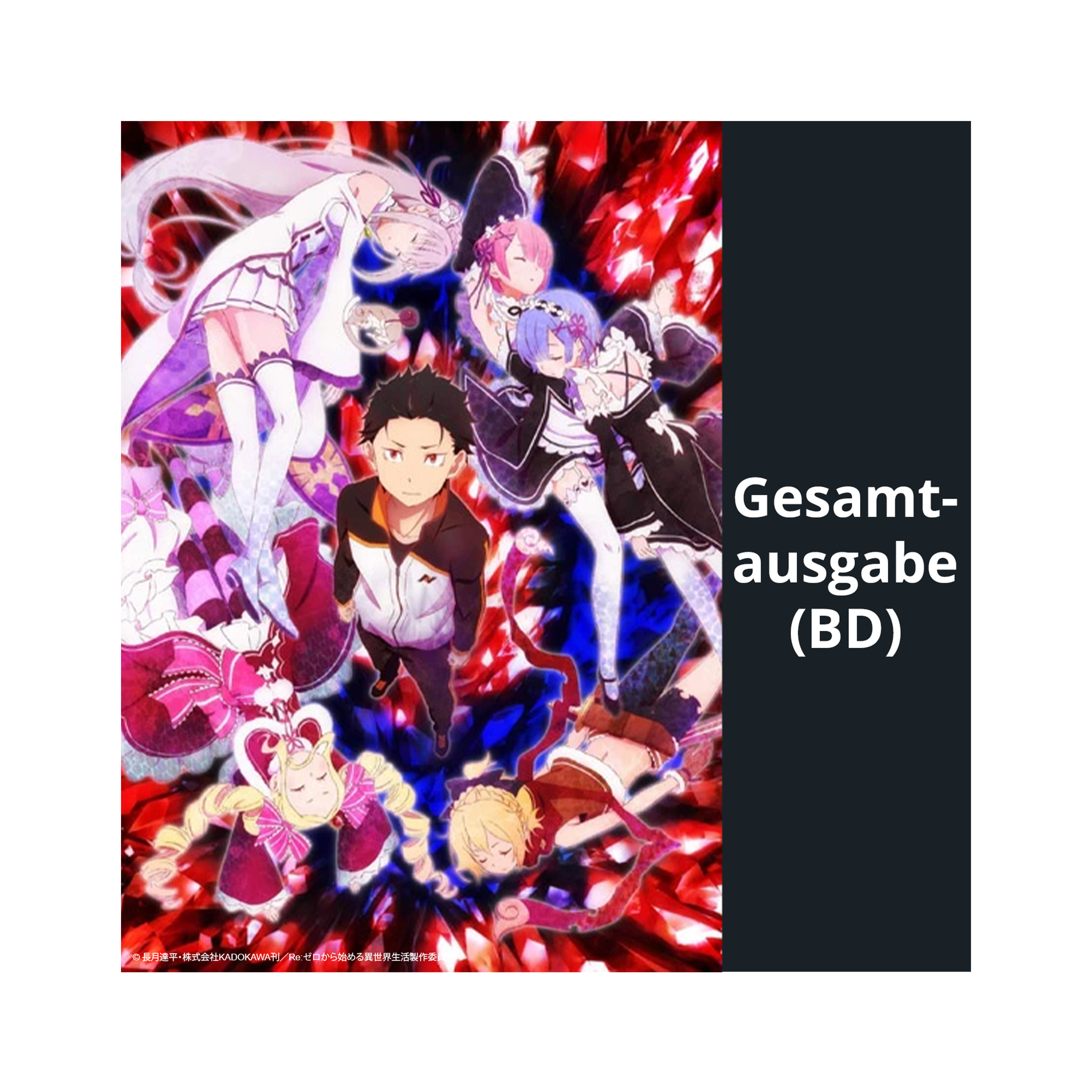 Re:ZERO - Starting Life in Another World - Gesamtausgabe - Steelbook (Blu-ray) - Director´s Cut - Limited Edition