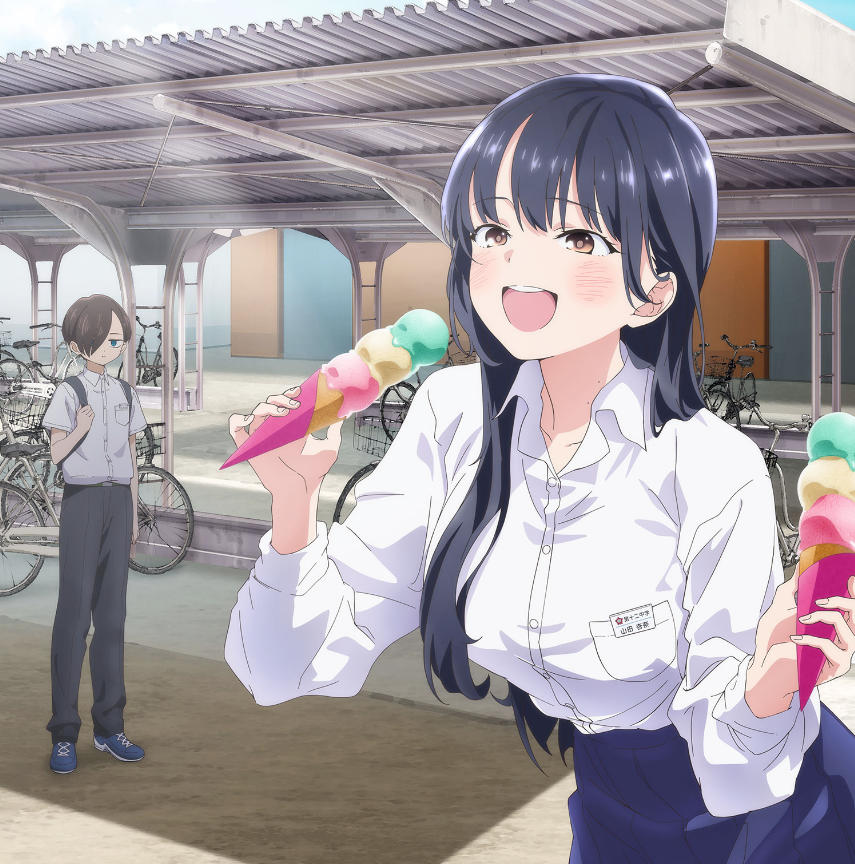 AKIBA PASS SHOP