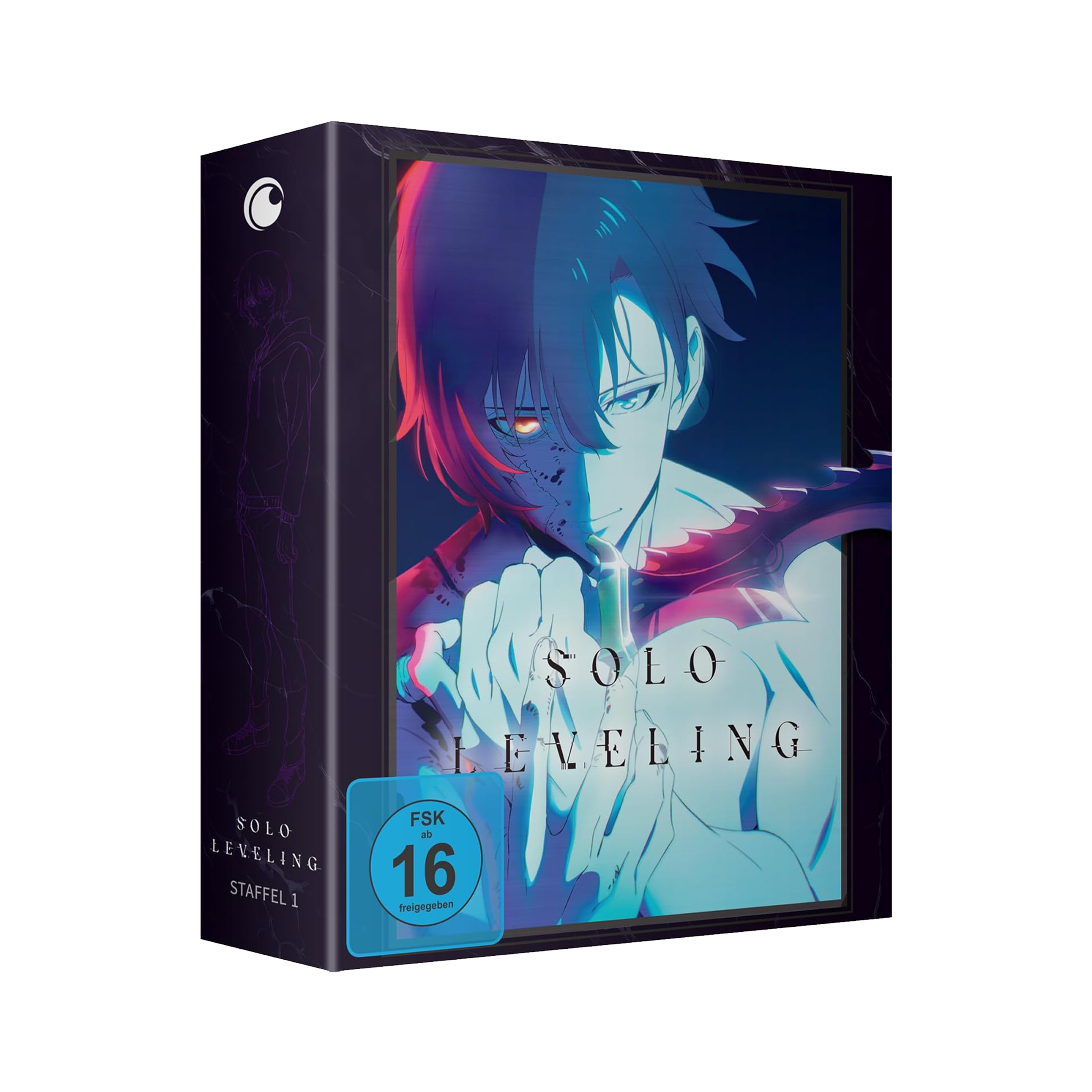 Solo Leveling - Staffel 1 - Part 1 mit Sammelschuber (DVD)