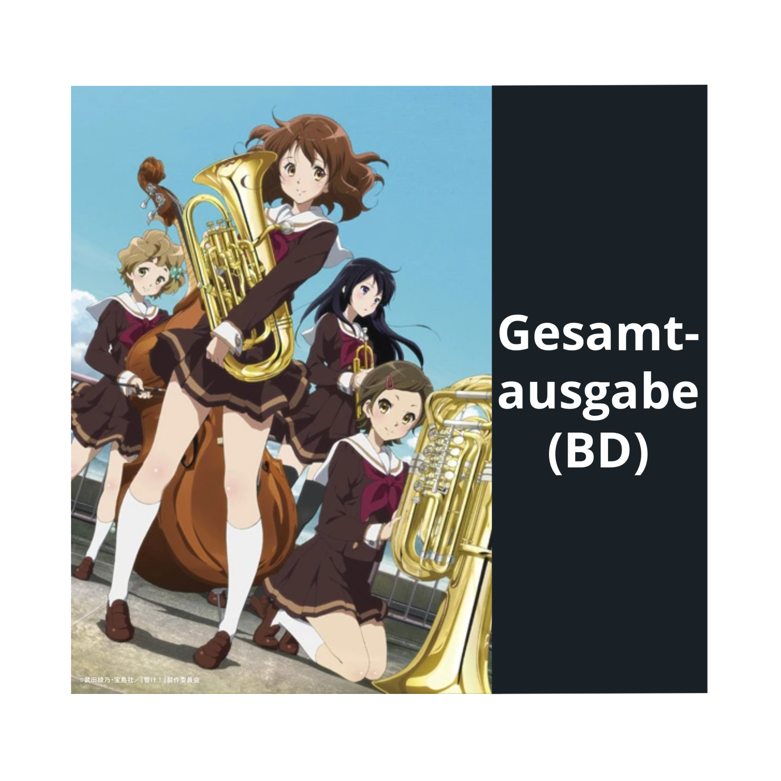 Sound! Euphonium - Staffel 1 - Gesamtausgabe (Blu-ray)