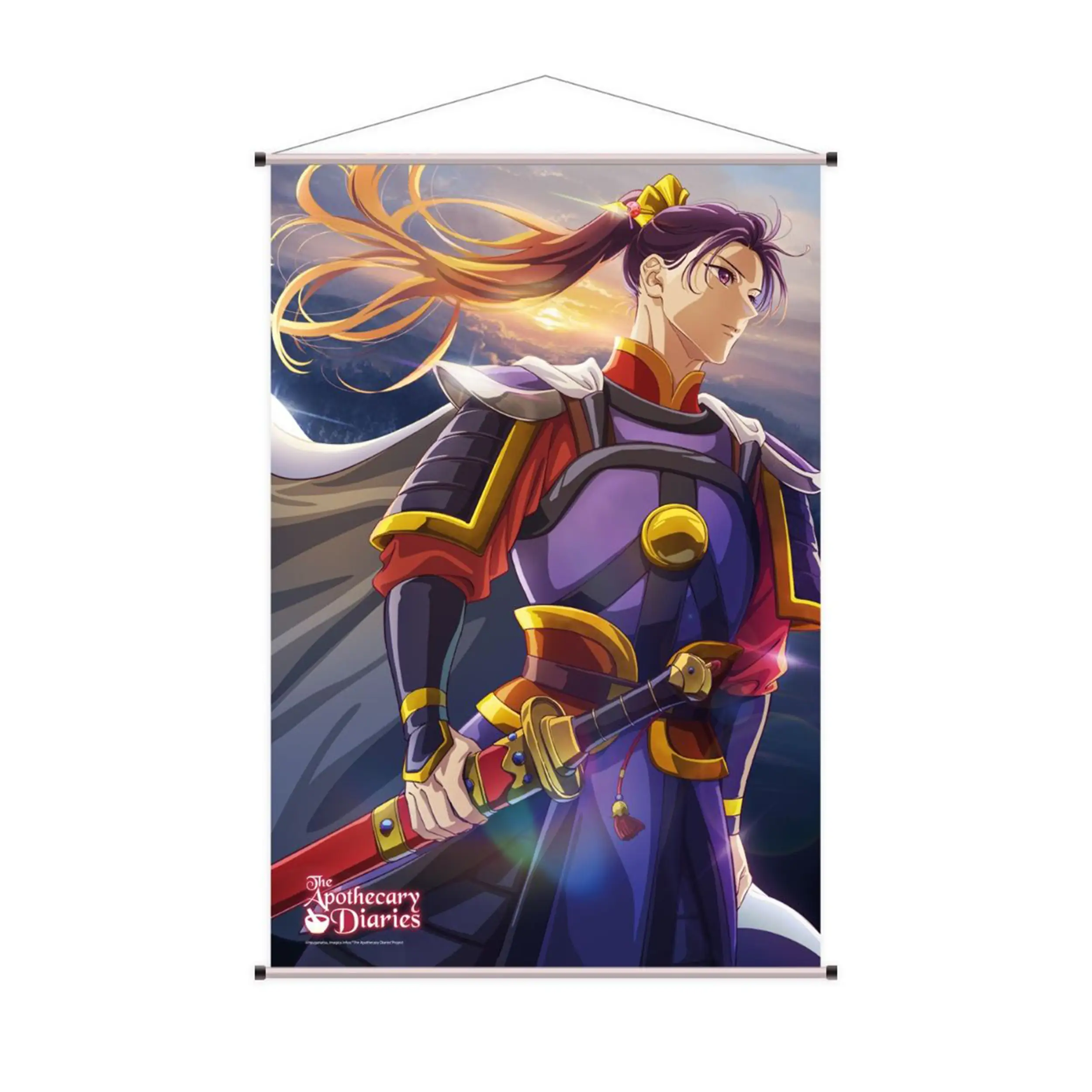Die Tagebücher der Apothekerin - Wallscroll (60x90cm) - Motiv: Jinshi
