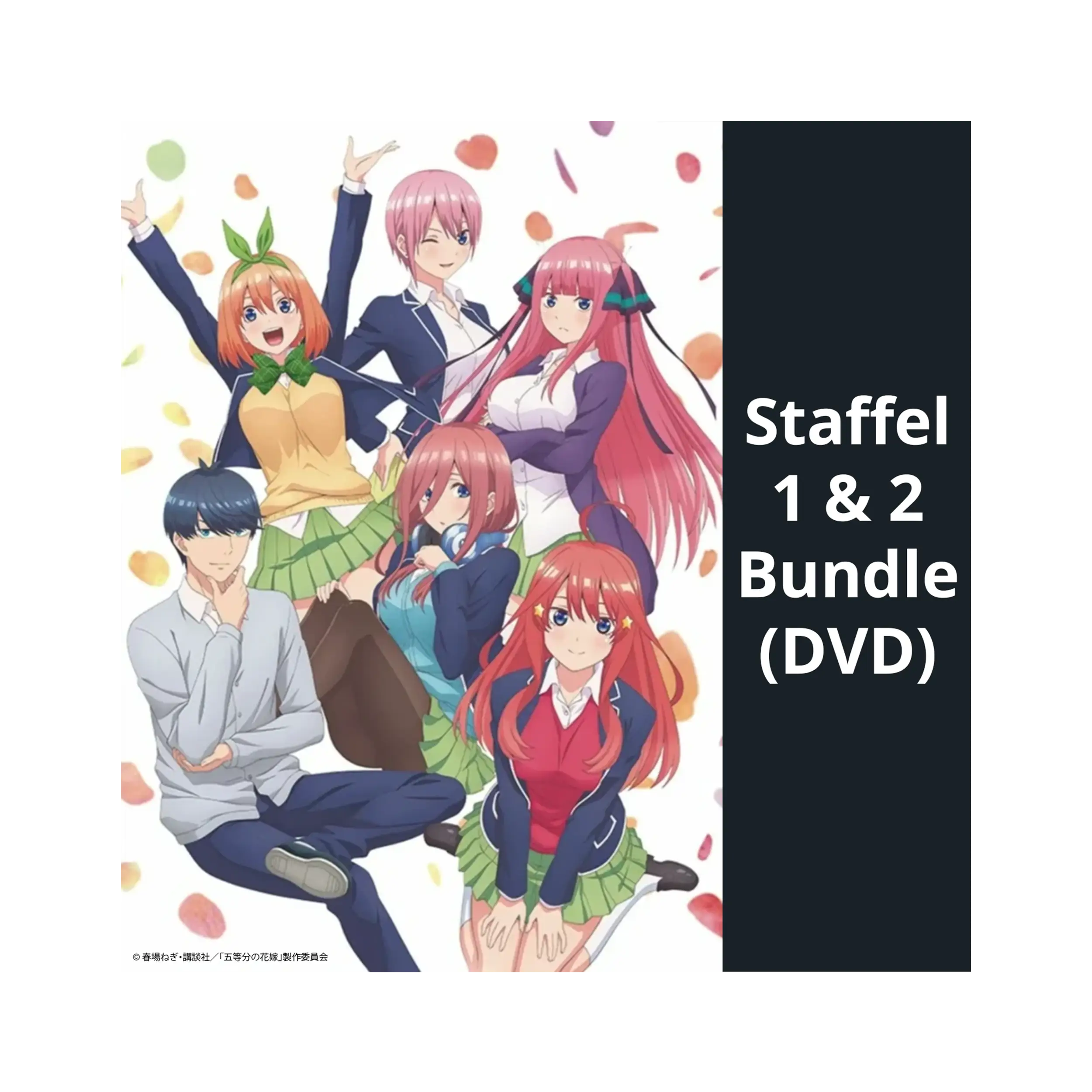 The Quintessential Quintuplets - Staffel 1&2 - Gesamtausgabe ohne Schuber (DVD)