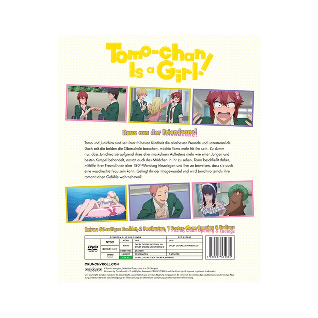 Tomo-chan Is a Girl! - Gesamtausgabe (DVD)
