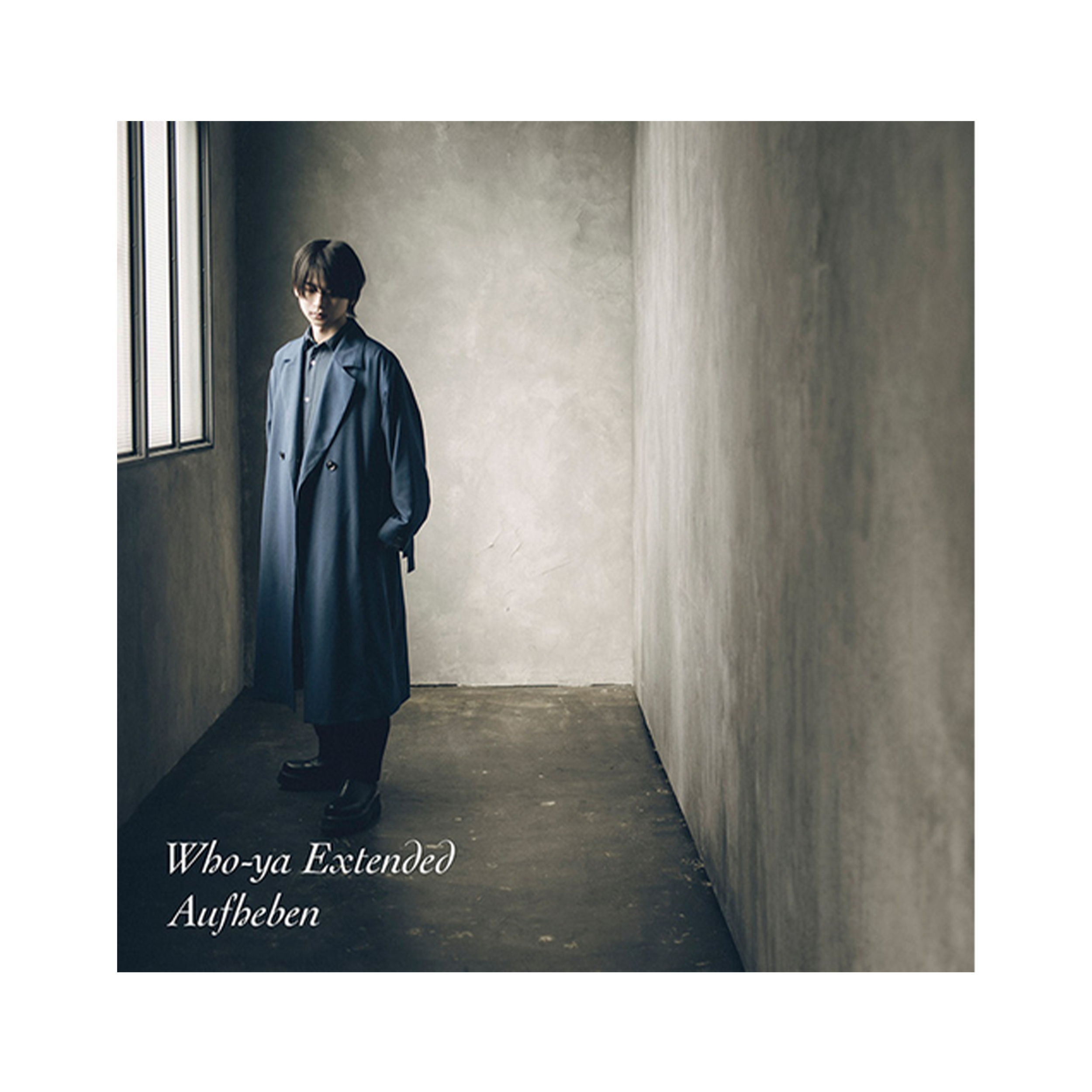 Who-ya Extended - Aufheben (CD)