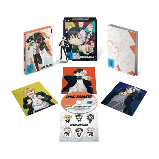 Wind Breaker - Staffel 1 - Vol. 1 (DVD) mit Sammelschuber (Limited Edition)