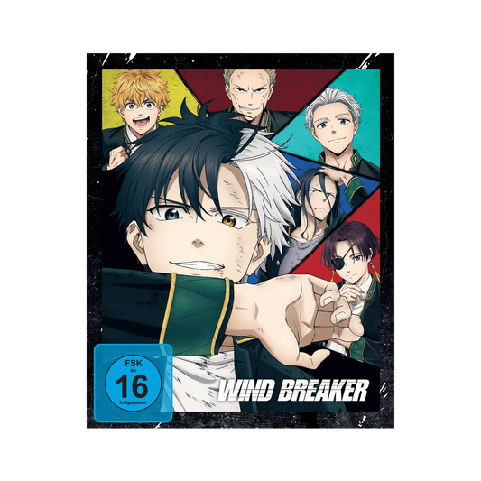 Wind Breaker - Staffel 1 - Vol. 1 (DVD) mit Sammelschuber (Limited Edition)