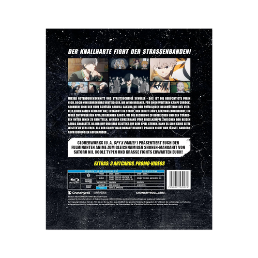 Wind Breaker - Staffel 1 - Vol. 2 (Blu-ray)
