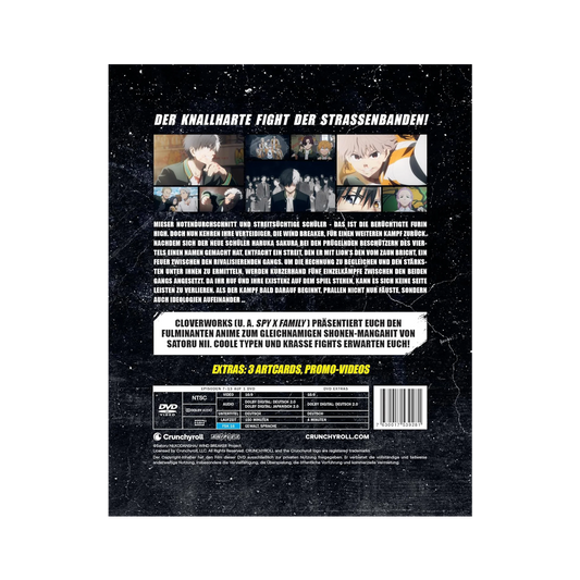 Wind Breaker - Staffel 1 - Vol. 2 (DVD)