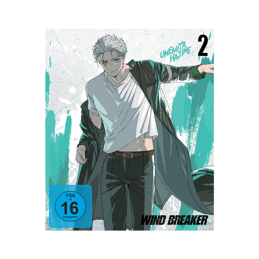 Wind Breaker - Staffel 1 - Vol. 2 (DVD)