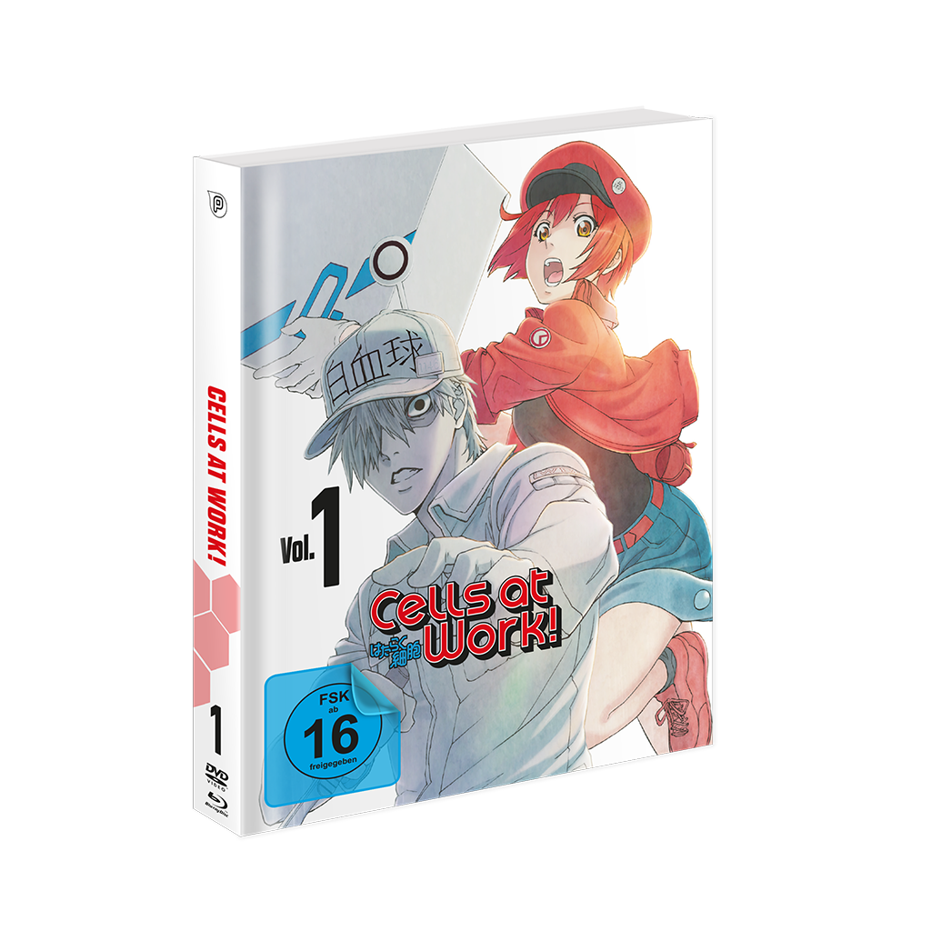 UK Anime Network - Cells at Work! - Vol. 1